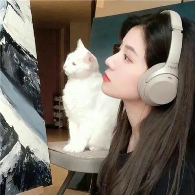 房子的故事